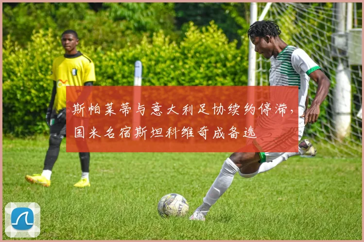 斯帕莱蒂与意大利足协续约停滞，国米名宿斯坦科维奇成备选